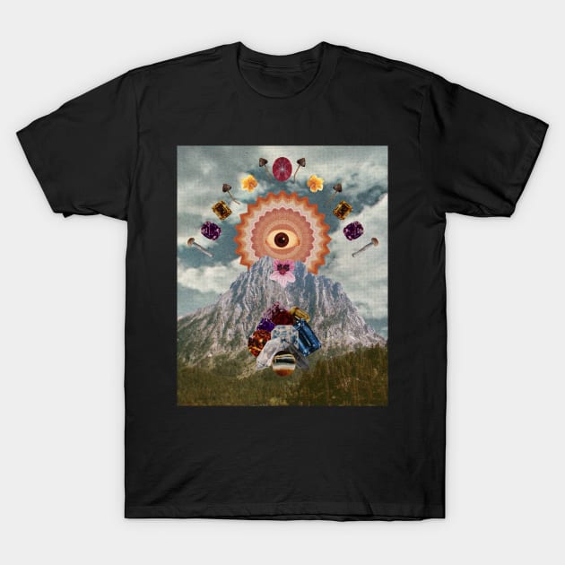 Holy mountain T-Shirt by kushu